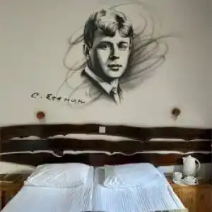 Гуси-Лебеди - 12