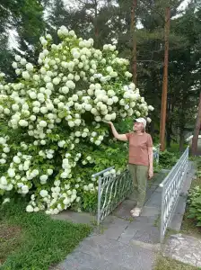 Санаторий им. 50-летия Октября Банка России - 38