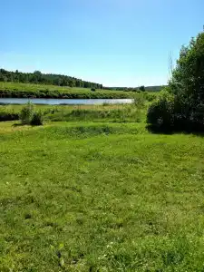 Гнездо - 29