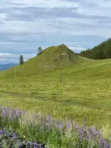 Шанкы - 3
