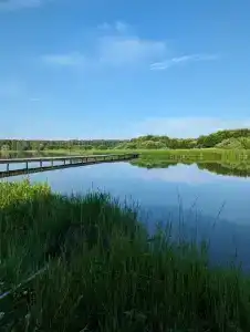 Баскак - 70