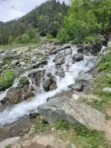 Сакура - 3