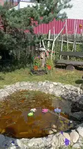 Солнечный - 18