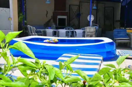 Delphin Side - 17
