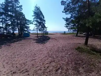 Бухта желтая - 63