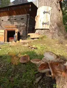 Мышгород - 90