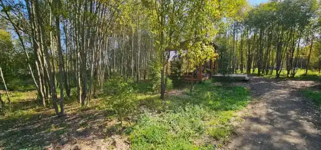 Парк Север - 80