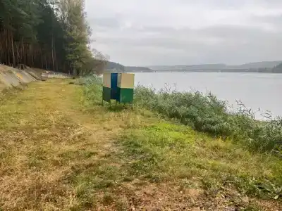 Сосновый бор - 8
