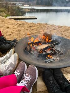 Заповедник - 40