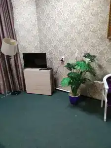 Иван-чай - 8