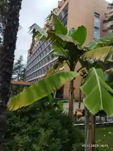 Беларусь - 74