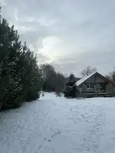 Медвежье урочище - 91