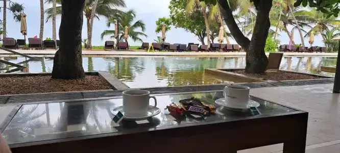 Pandanus Beach Resort & Spa - 35