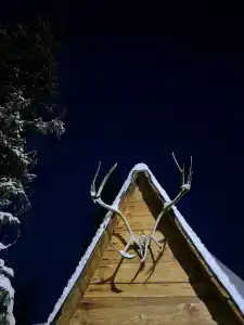 Медвежий угол - 50