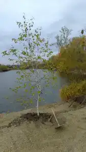 База отдыха у Викторовича - 62
