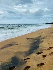 Pandanus Beach Resort & Spa - 45