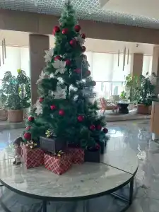 Звезда моря - 31