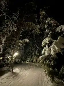 Глэмпинг Shanti Home - 71