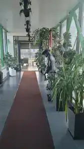 Отдых - 28