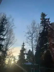 Лопотово - 84