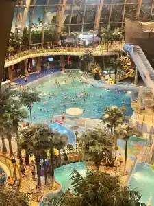 Питерлэнд - 49