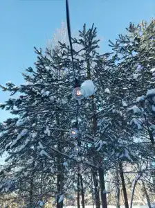 Дикое подворье - 36