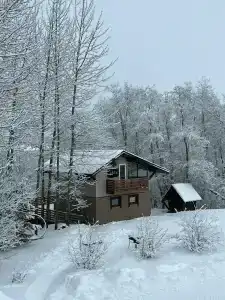 Елизарово - 34