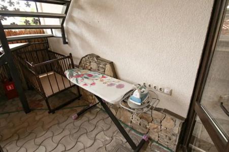 Дельфиния - 42