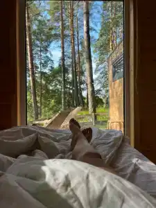 Лесной Привал - 42