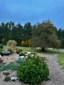 Шельден - 61
