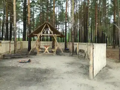 Ясная поляна - 29