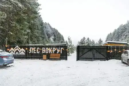 Лес Вокруг - 20