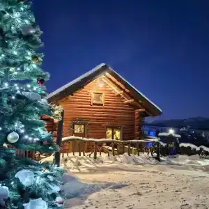 Тайга - 10