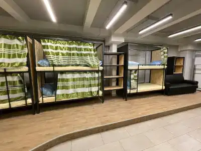 Шиповник - 1