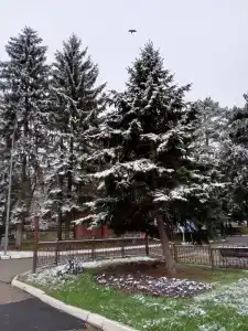 Центральный Детский санаторий - 37