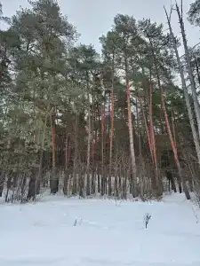 Экспедиция - 19