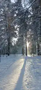 Солнечный - 34