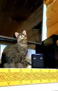 Лукоморье на Одесской - 37