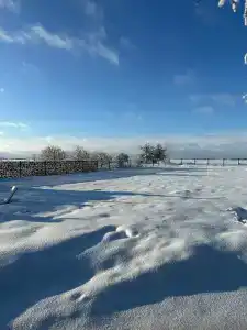 Дубль Дача - 49