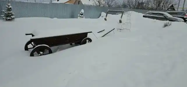 Веселый Кабан - 25