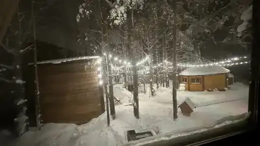 Магия леса - 94