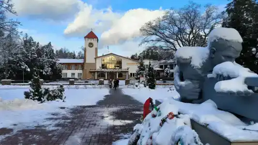 Каменюки - 8