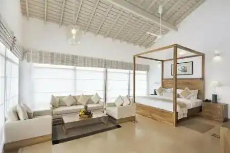 The Lucky Elephant - 23