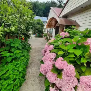 Усадьба Пантелея - 25