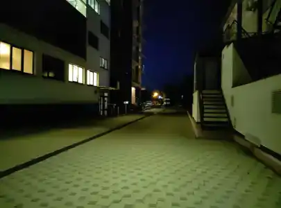 Фламинго - 29