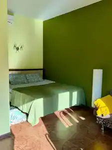 Кипарис - 4
