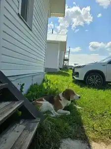 На Вазузу - 9