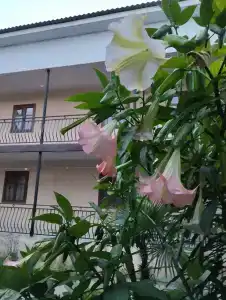 Авраам отдыхает - 1