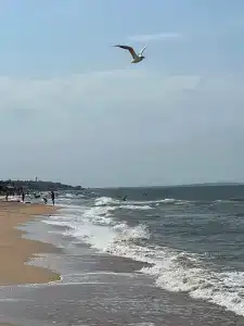 Солнечный дом - 14