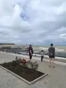 Коралл - 24